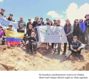 Verano en Movimiento